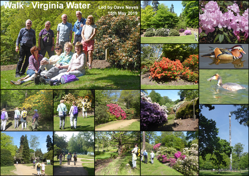 Walk - Virginia Water - 15th May 2019